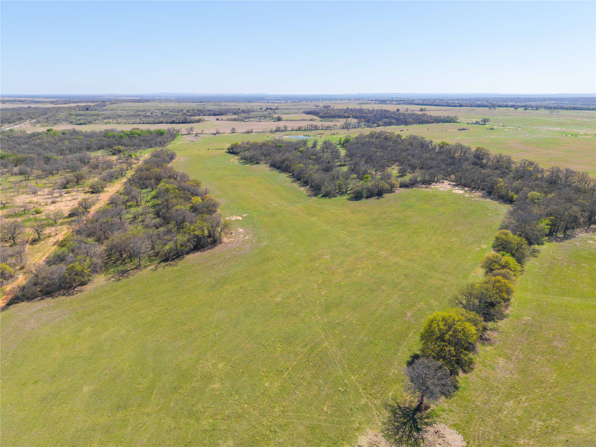 Tbd 52 Acres Cr 195 Gorman TX 76454
