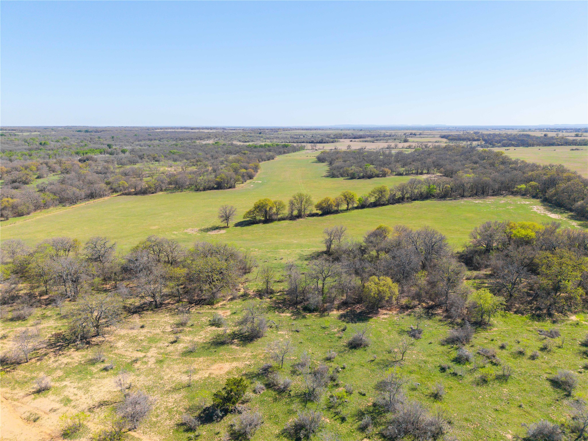 Tbd 52 Acres Cr 195 Gorman TX 76454