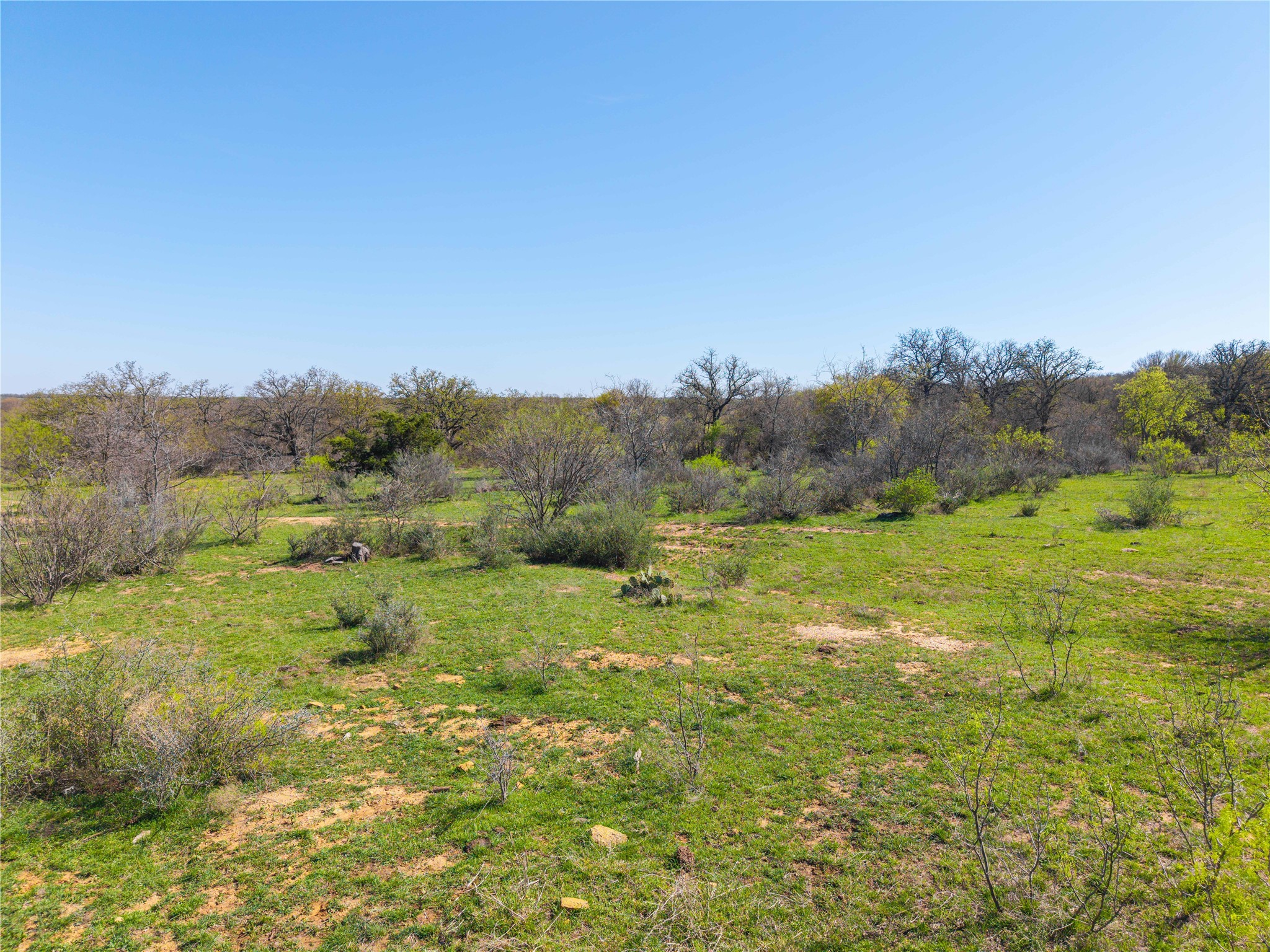 Tbd 52 Acres Cr 195 Gorman TX 76454