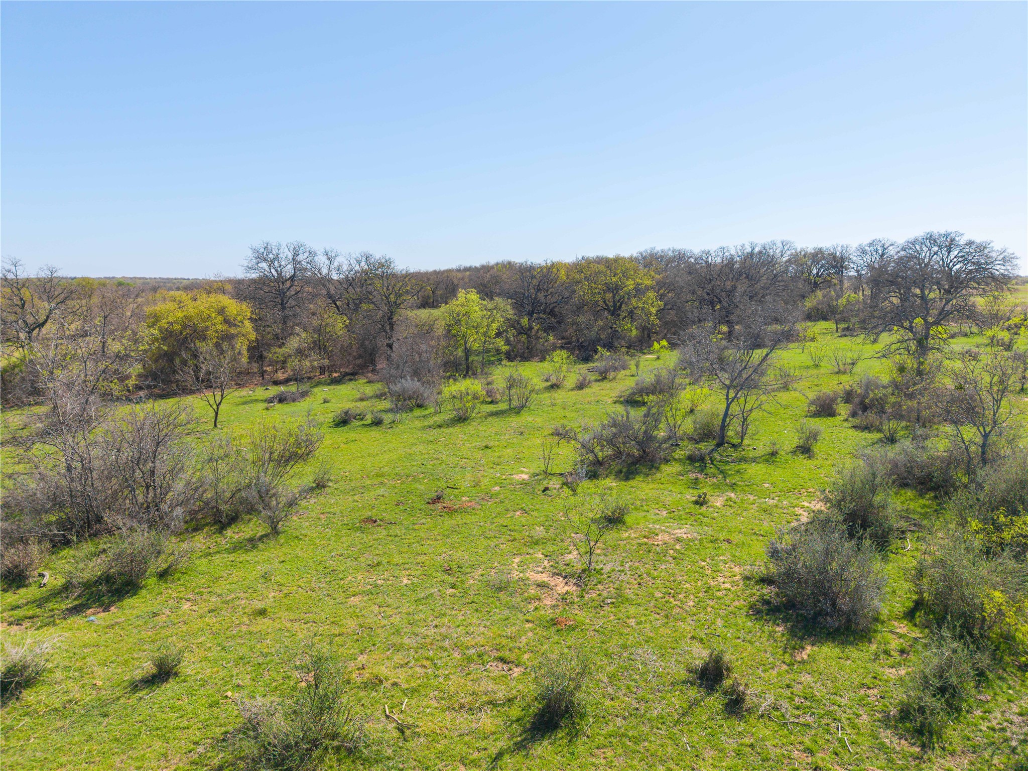 Tbd 52 Acres Cr 195 Gorman TX 76454