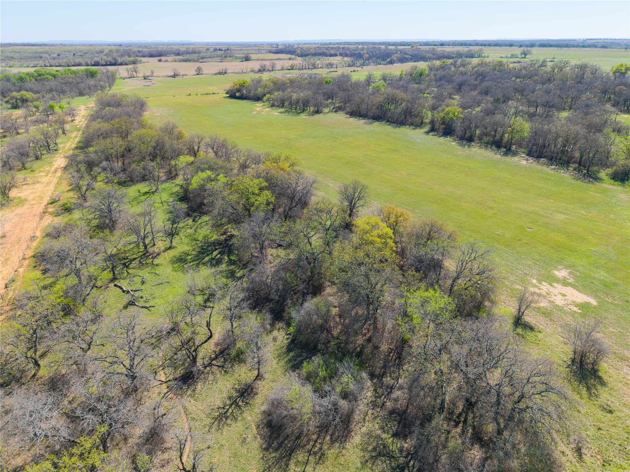 Tbd 52 Acres Cr 195 Gorman TX 76454