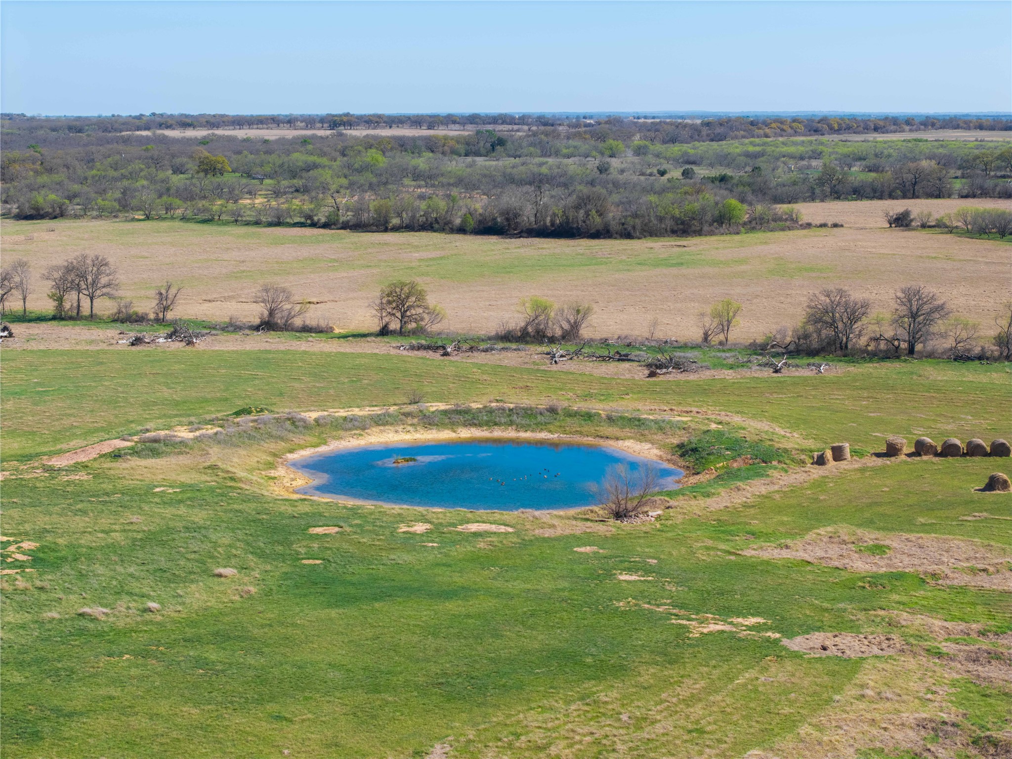 Tbd 52 Acres Cr 195 Gorman TX 76454