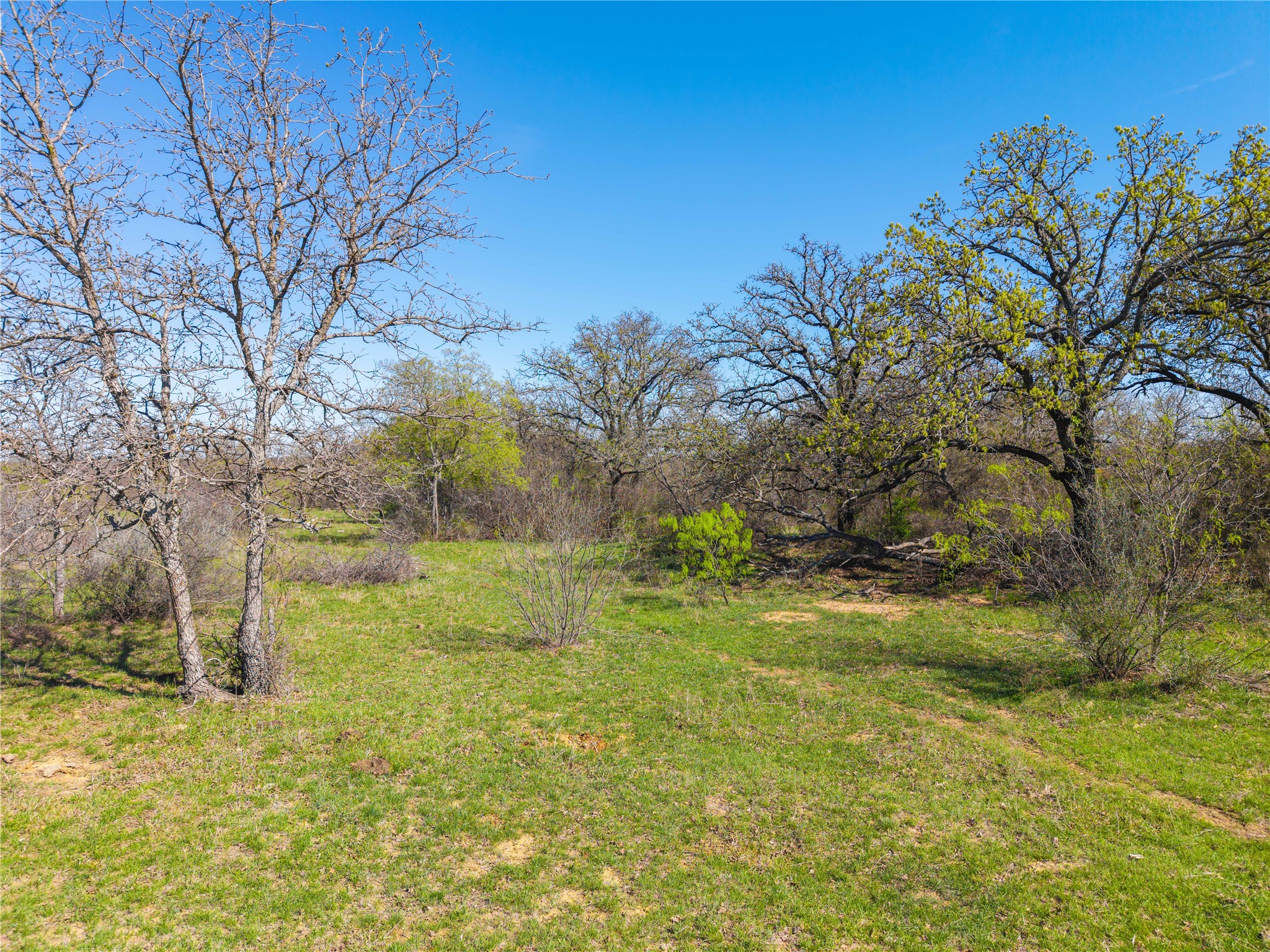 Tbd 52 Acres Cr 195 Gorman TX 76454