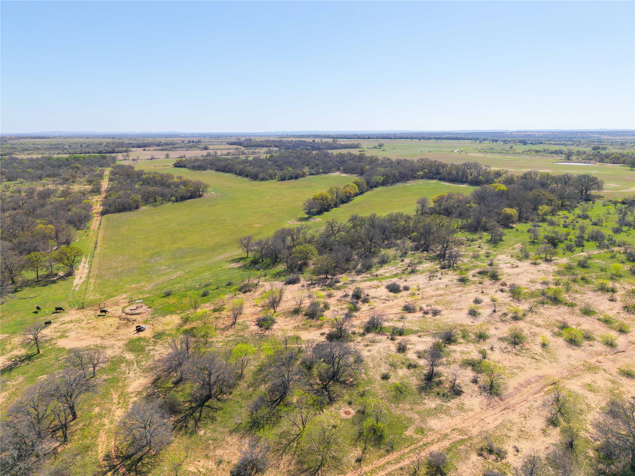 Tbd 52 Acres Cr 195 Gorman TX 76454