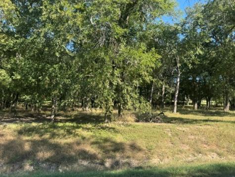 TBD Allie Court Hudson Oaks TX 76087