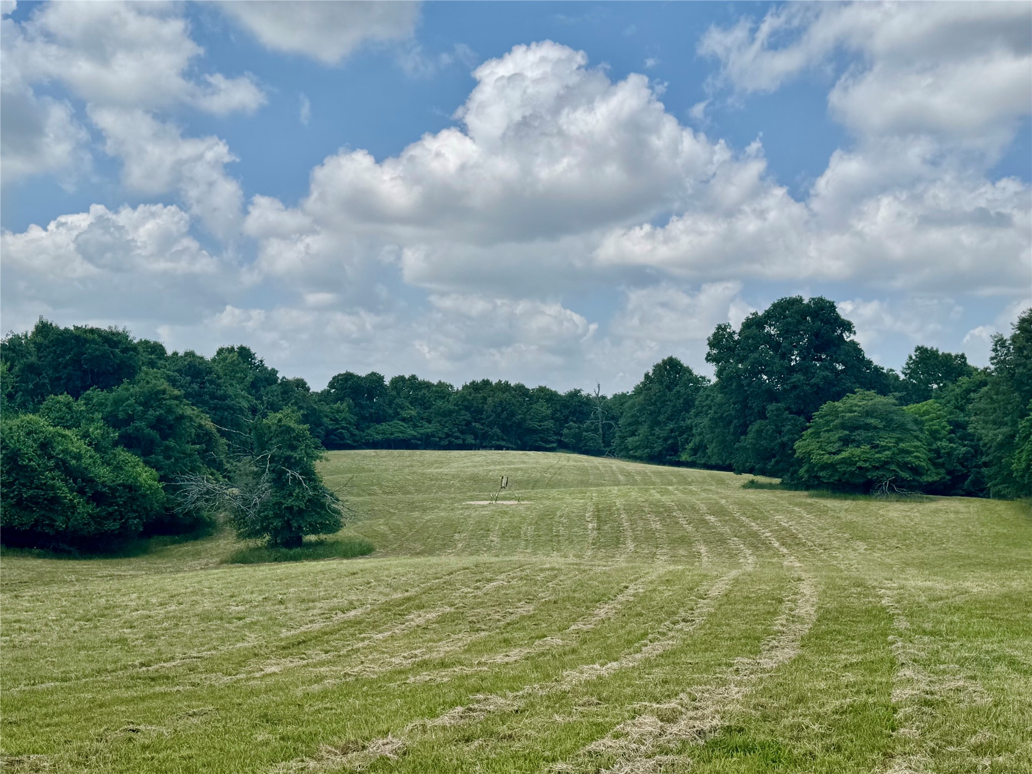 3893 Fm 906 E Powderly TX 75473
