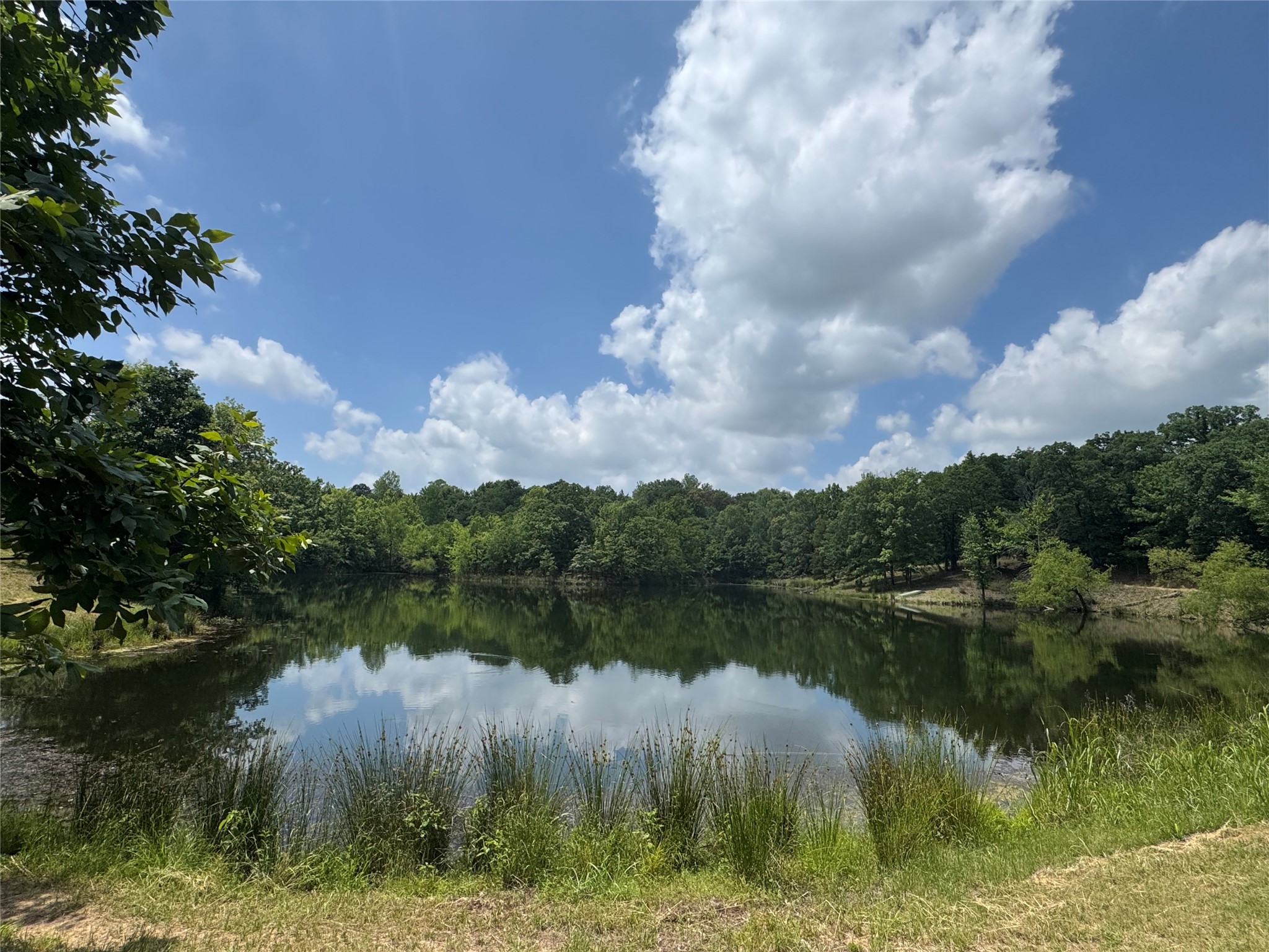 3893 Fm 906 E Powderly TX 75473