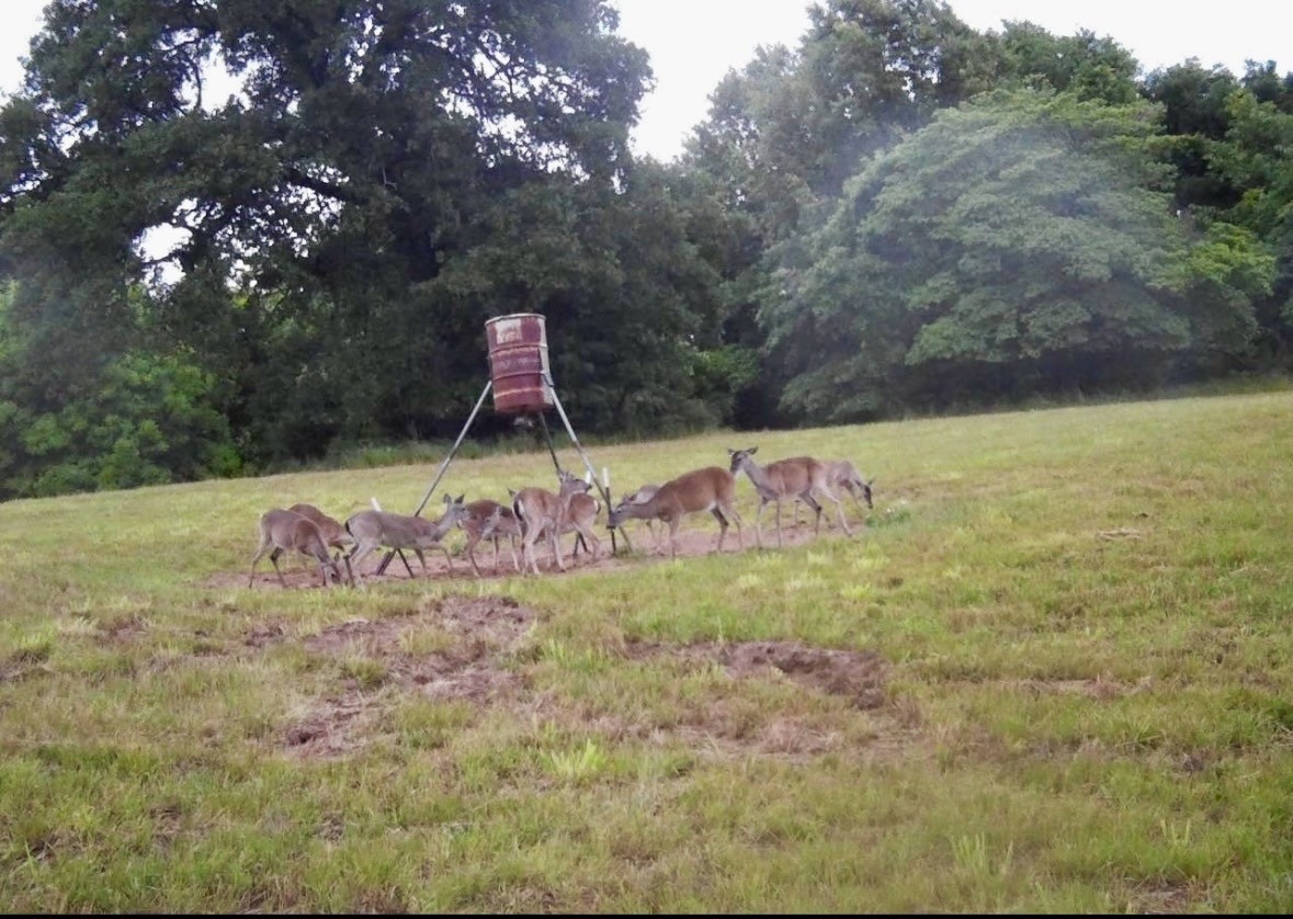 3893 Fm 906 E Powderly TX 75473