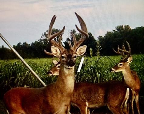 3893 Fm 906 E Powderly TX 75473