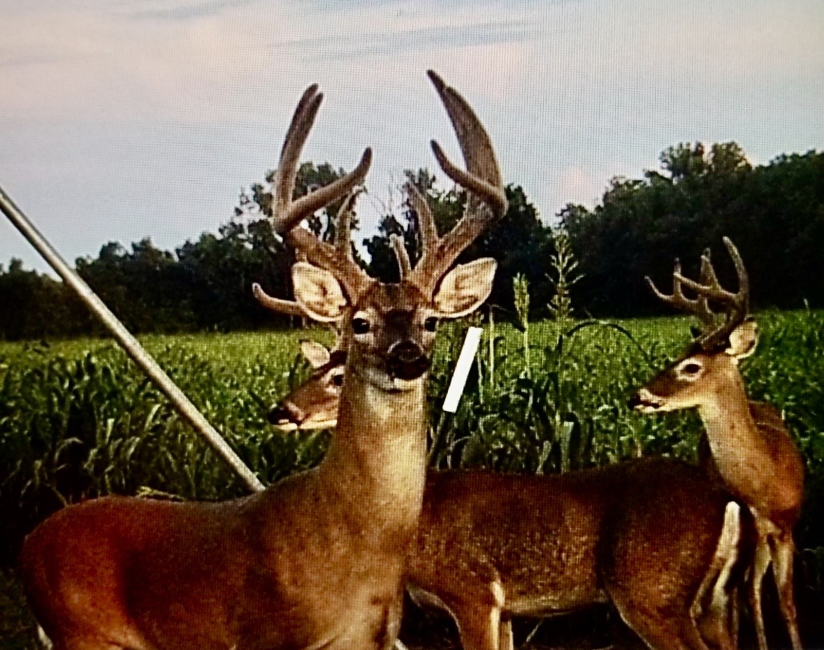 3893 Fm 906 E Powderly TX 75473