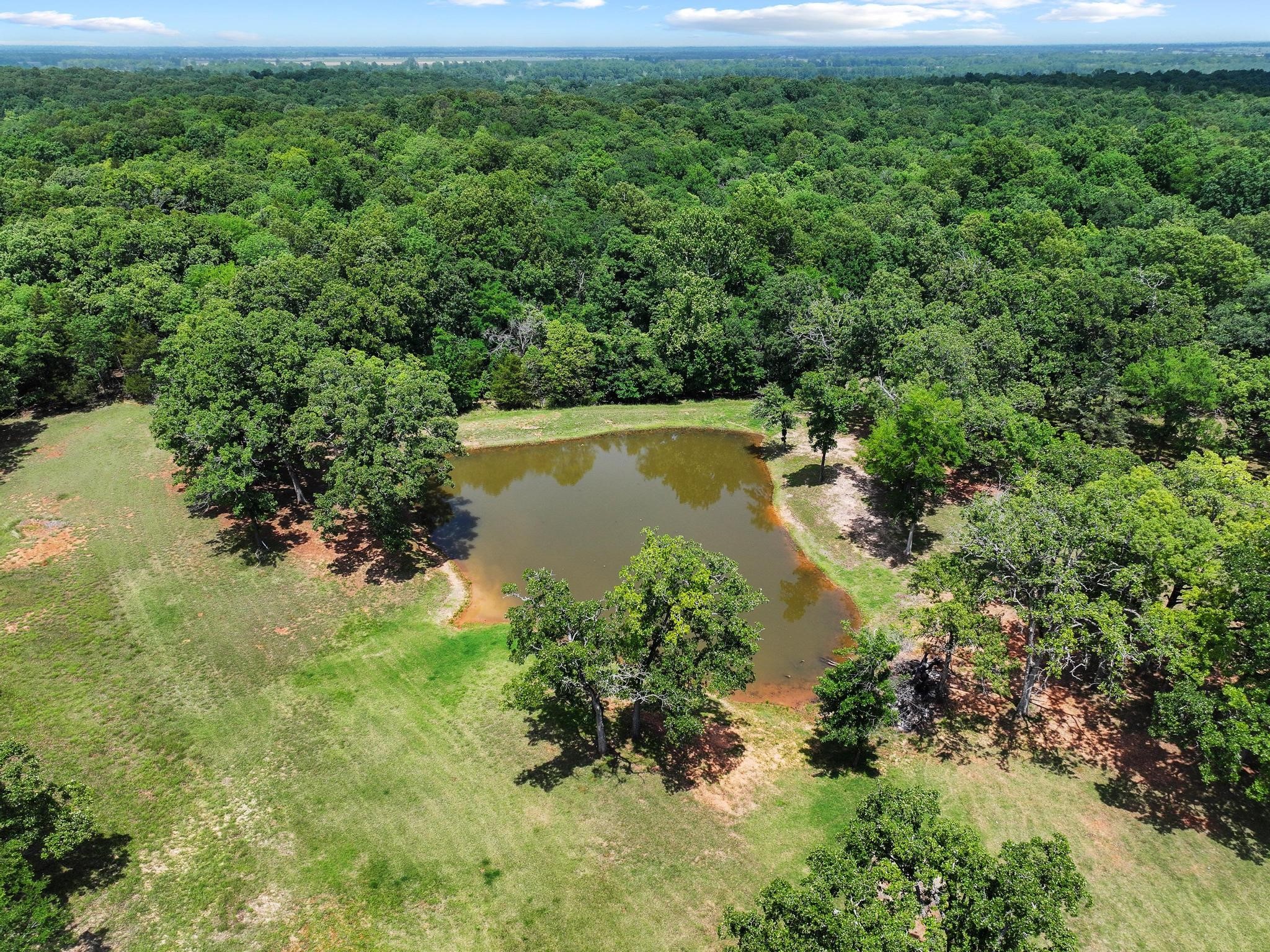 3893 Fm 906 E Powderly TX 75473