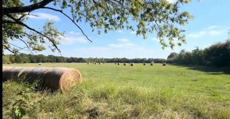 Tbd Jay Road Van Alstyne TX 75495