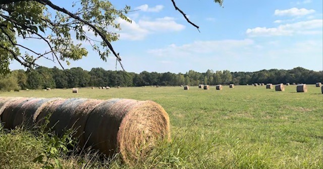 Tbd Jay Road Van Alstyne TX 75495