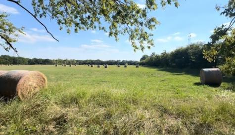 Tbd Jay Road Van Alstyne TX 75495