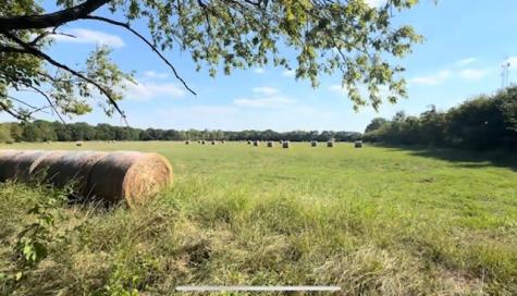 Tbd Jay Road Van Alstyne TX 75495