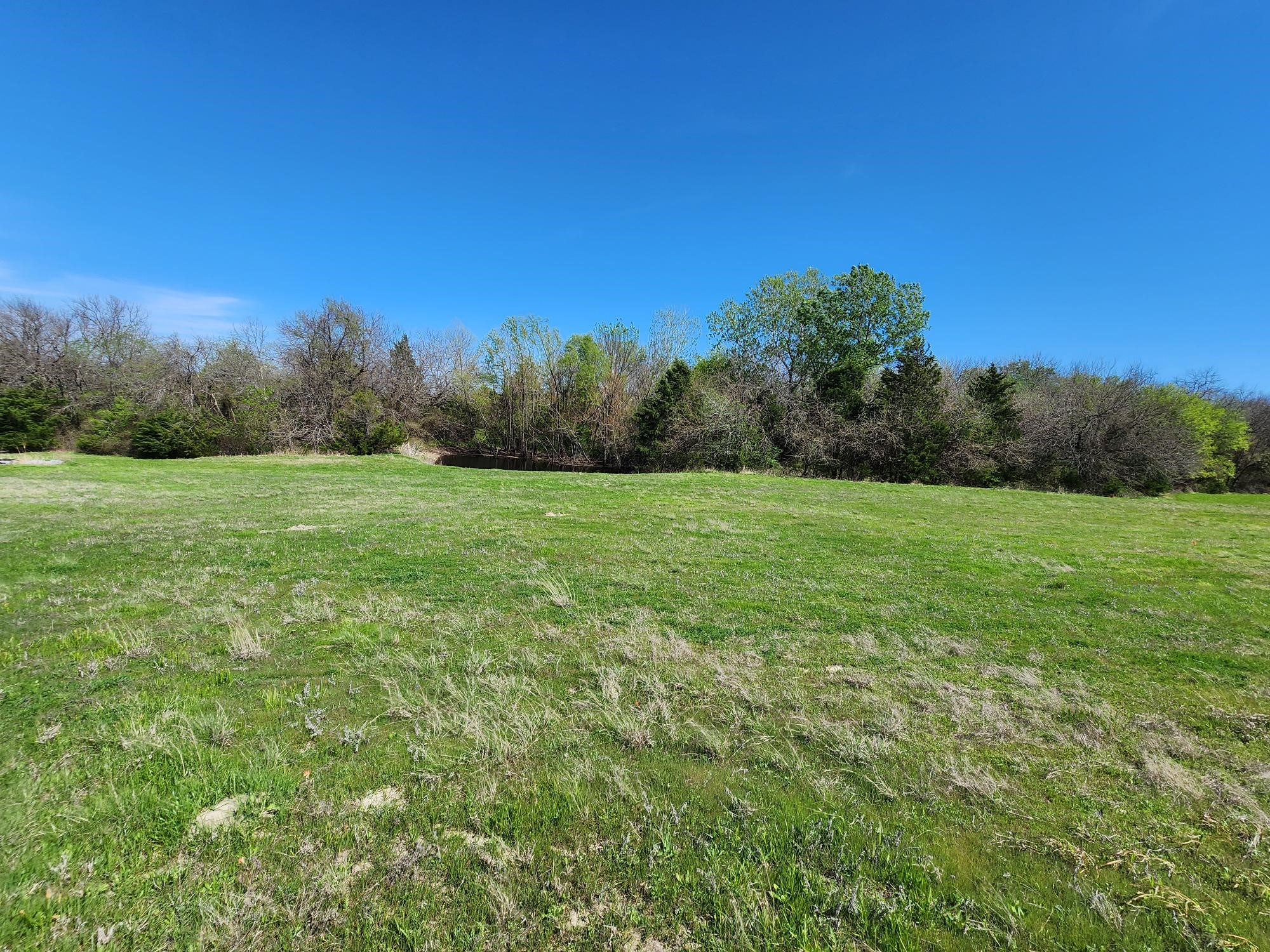 15957 County Road 566 Farmersville TX 75442