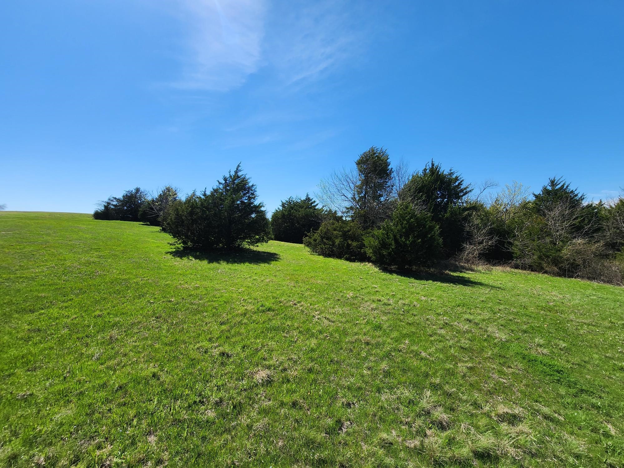 15957 County Road 566 Farmersville TX 75442