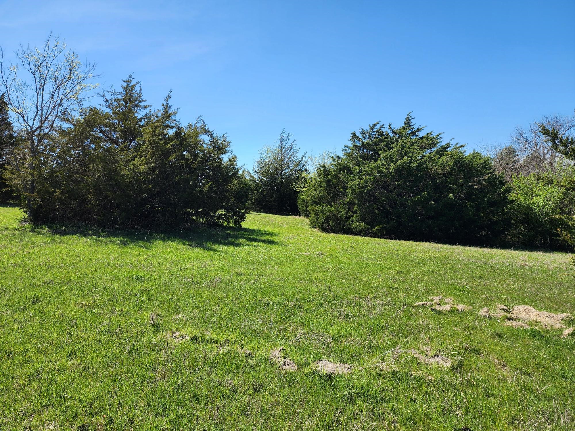 15957 County Road 566 Farmersville TX 75442