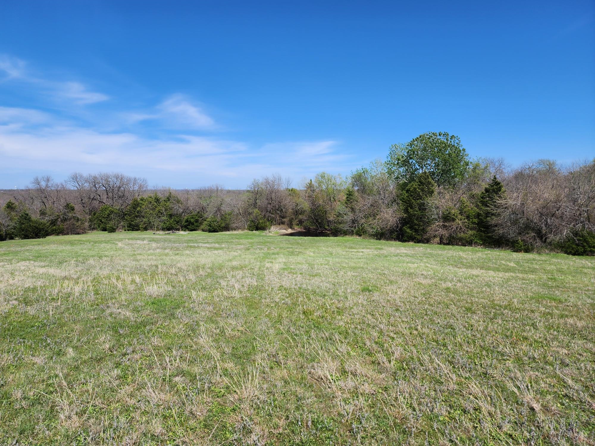 15957 County Road 566 Farmersville TX 75442