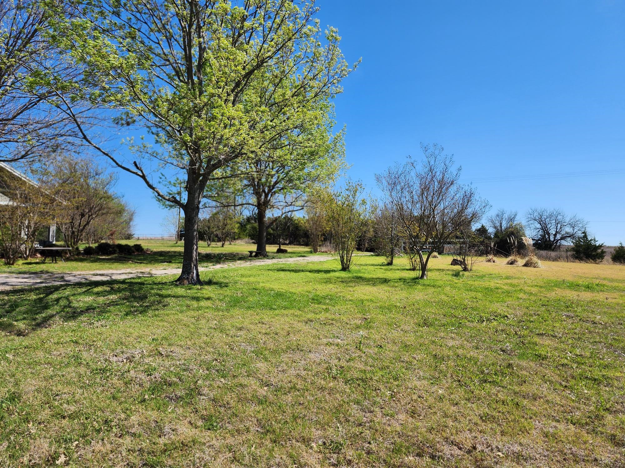 15957 County Road 566 Farmersville TX 75442