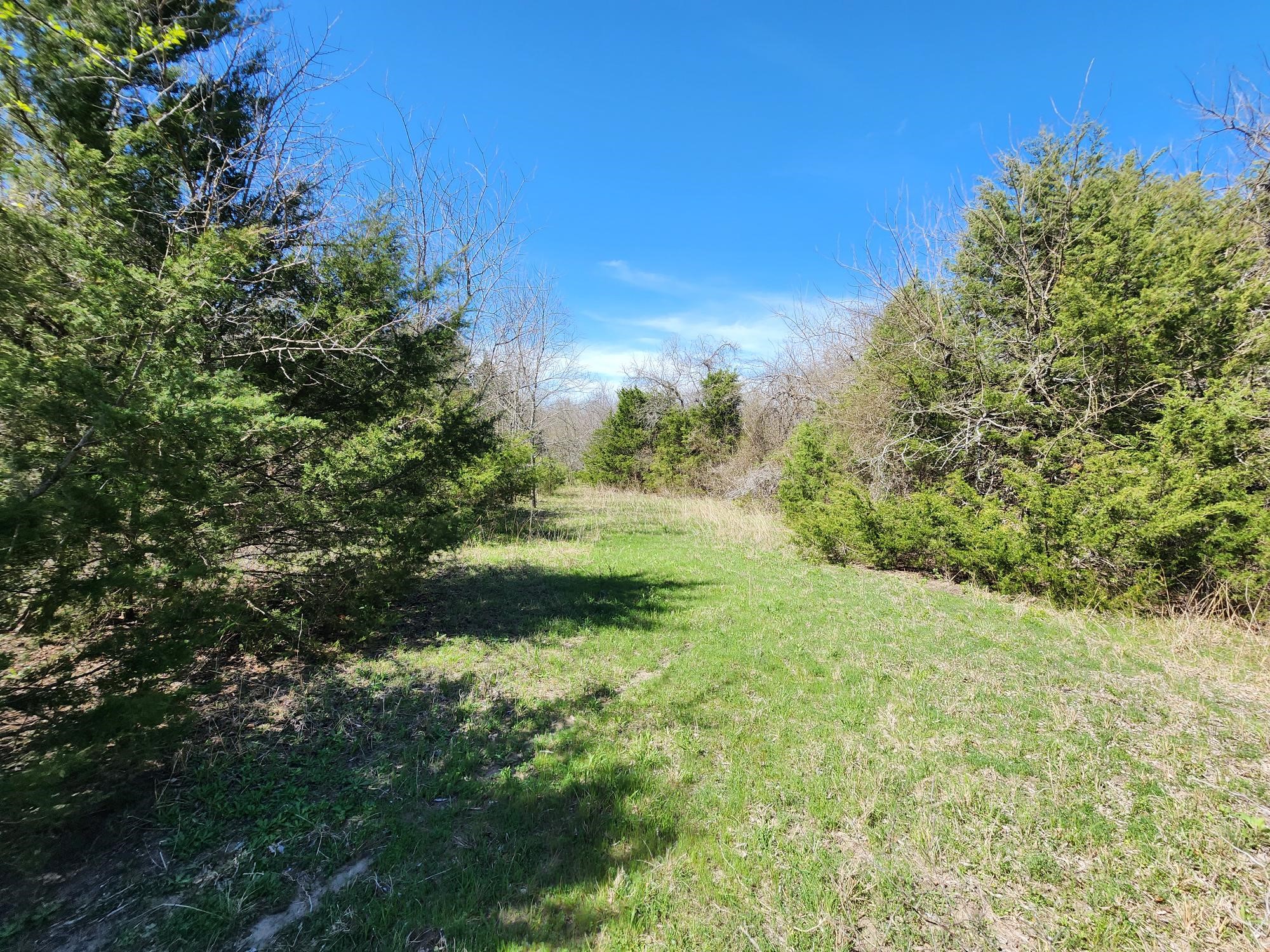 15957 County Road 566 Farmersville TX 75442
