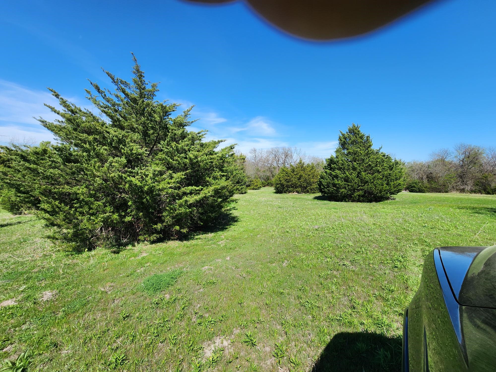 15957 County Road 566 Farmersville TX 75442