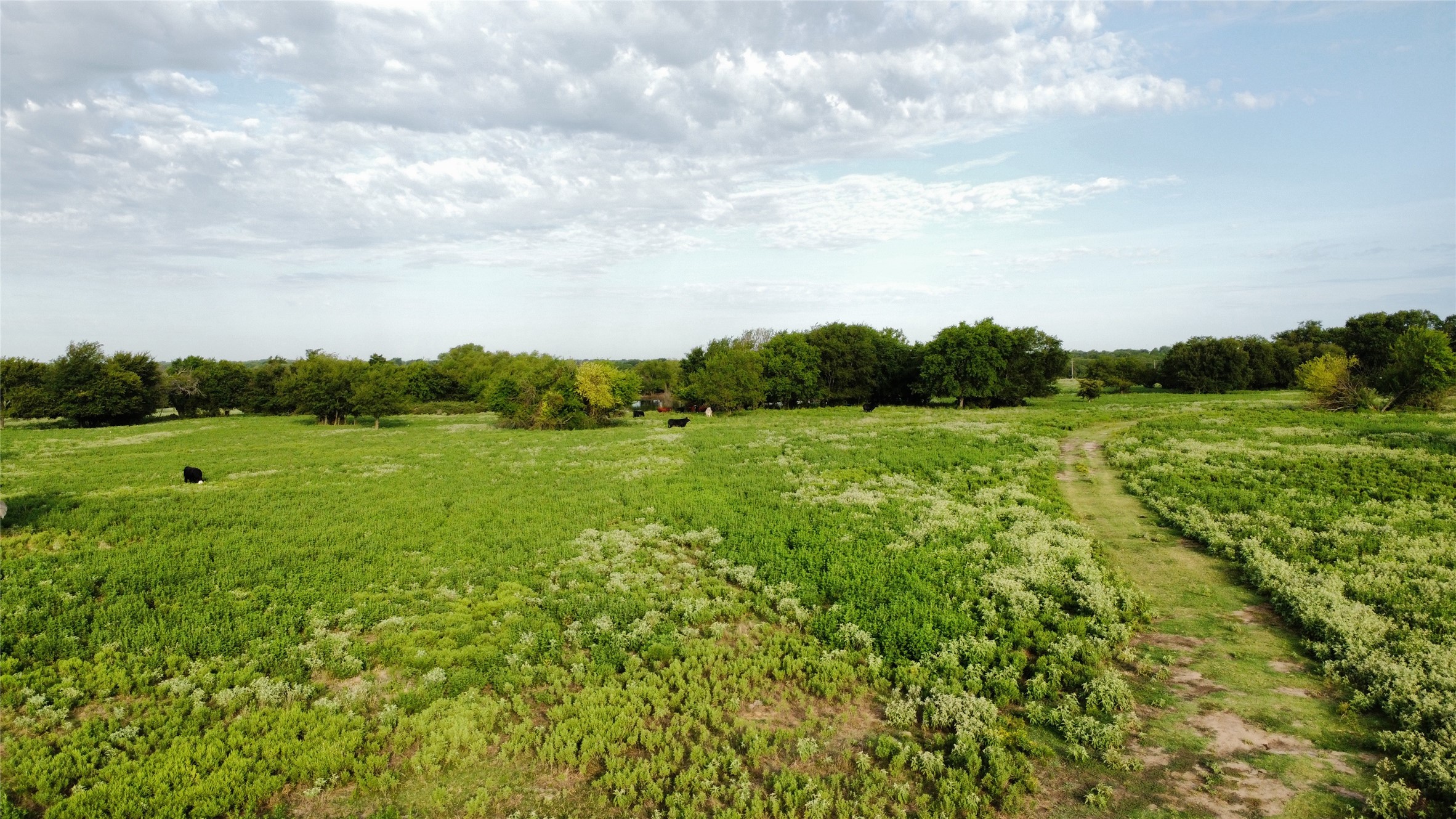 4800 N Fm-1417 Sherman TX 75092