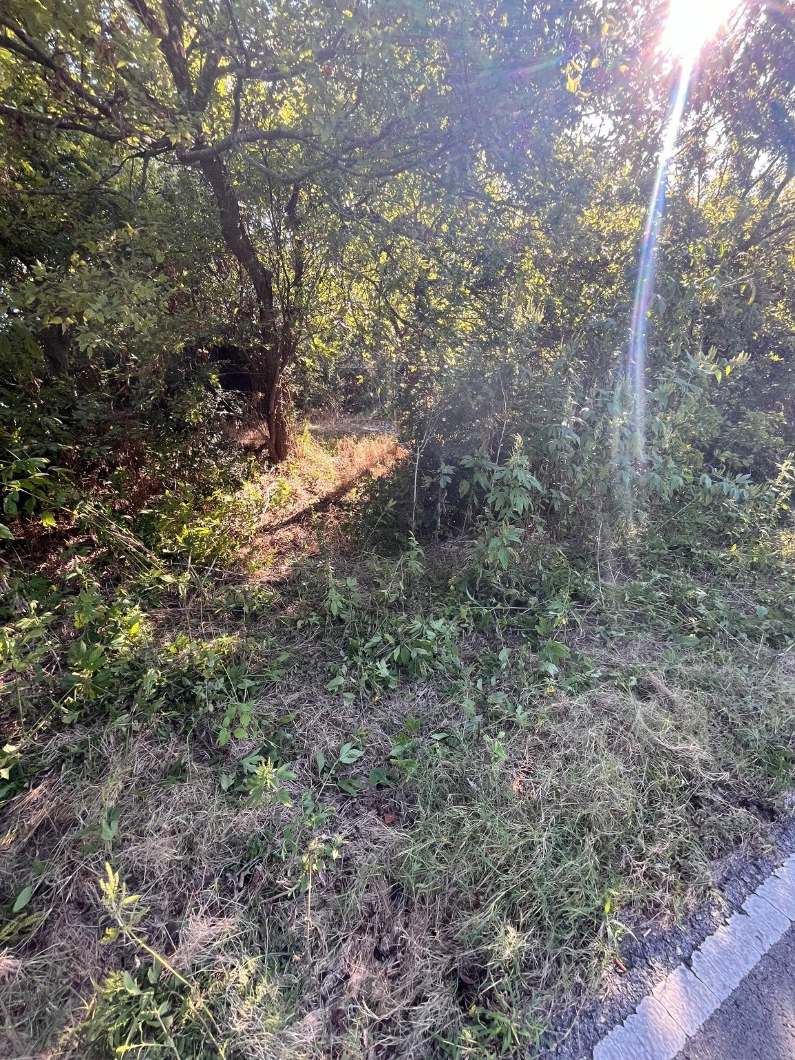 215 N Houston School Road Lancaster TX 75146