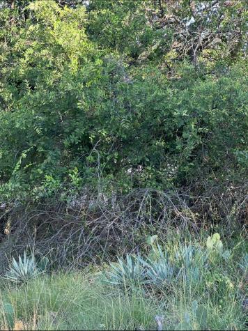 Lot 669 S Lakeside Drive May TX 76857