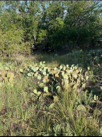 Lot 669 S Lakeside Drive May TX 76857