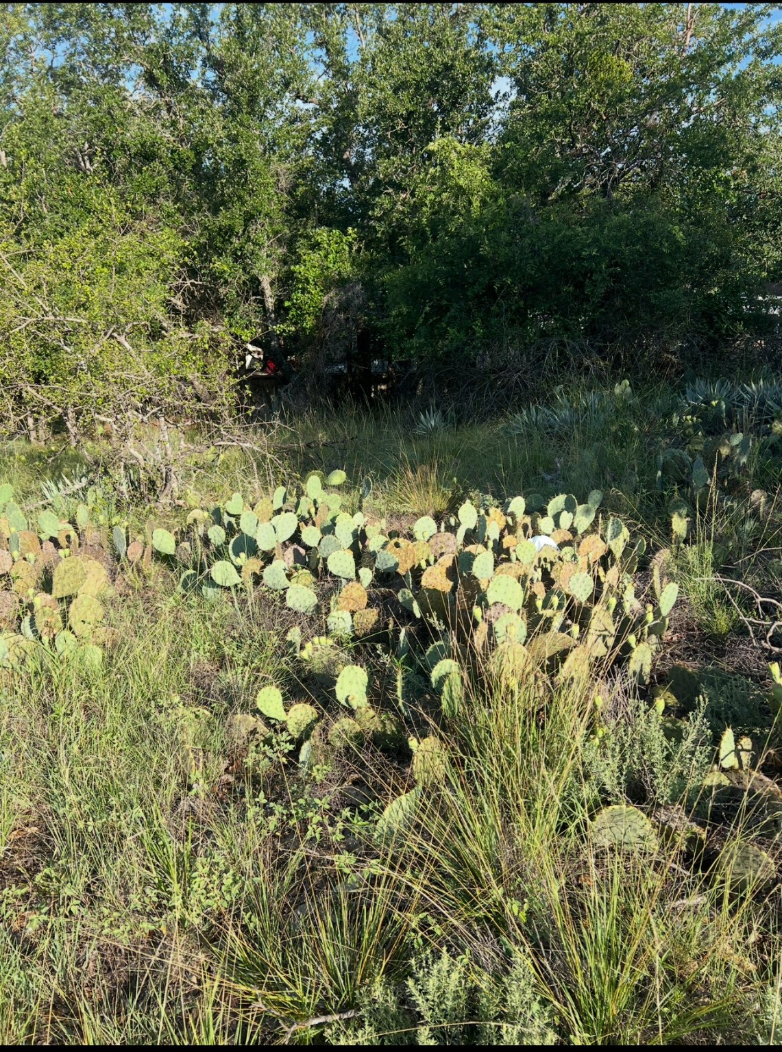Lot 669 S Lakeside Drive May TX 76857
