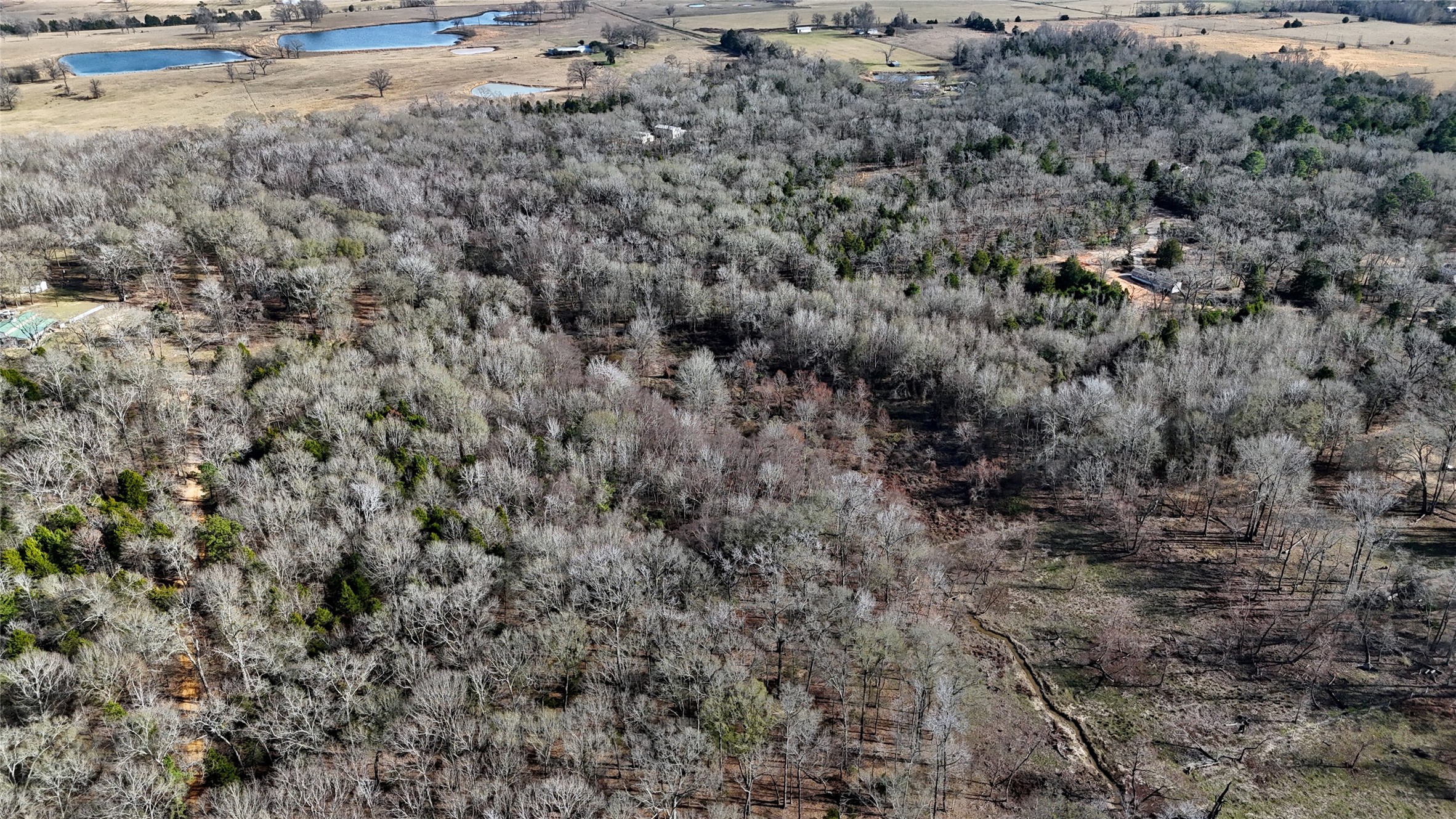 Tbd County Road 3801 Athens TX 75752