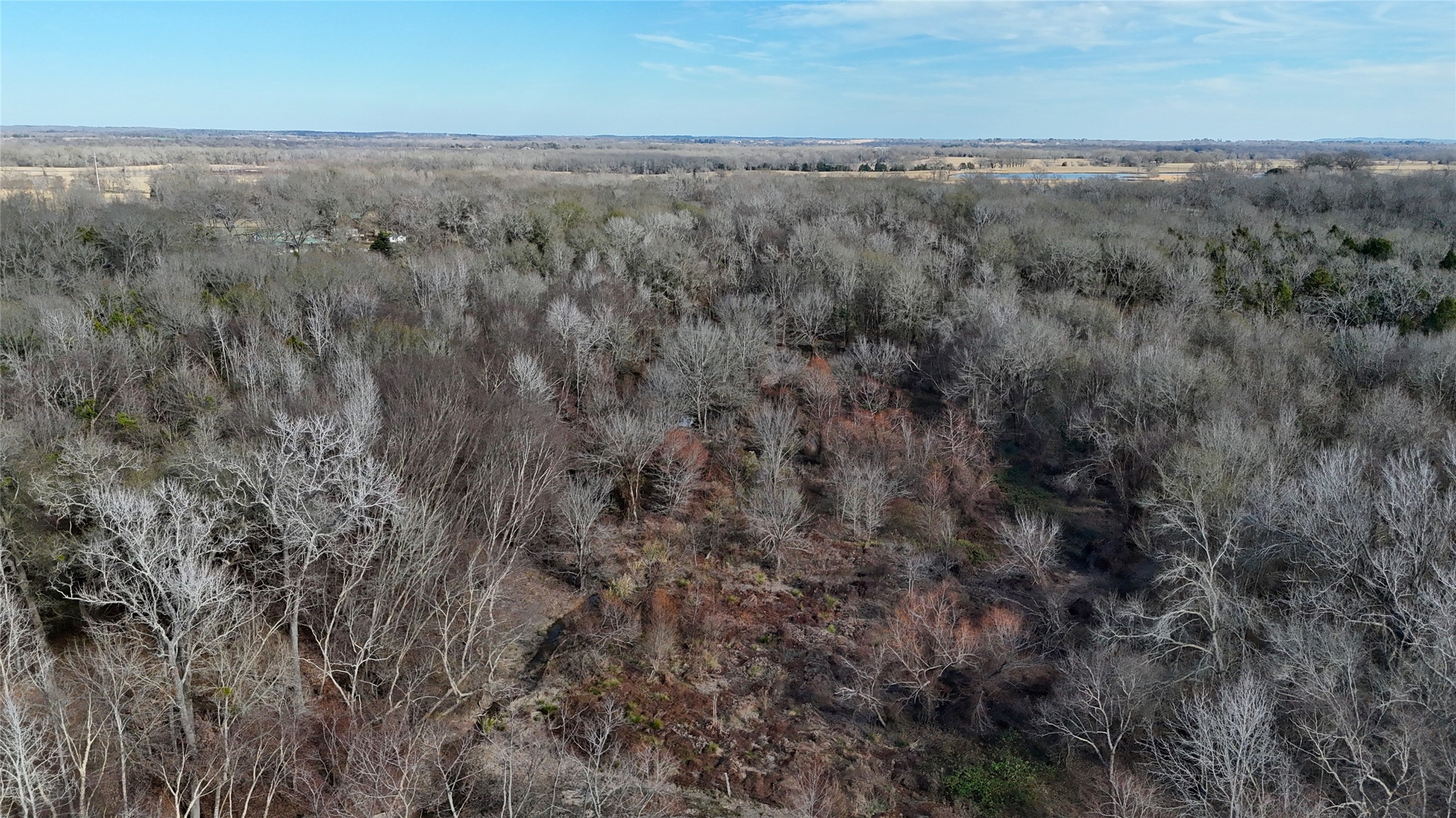 Tbd County Road 3801 Athens TX 75752