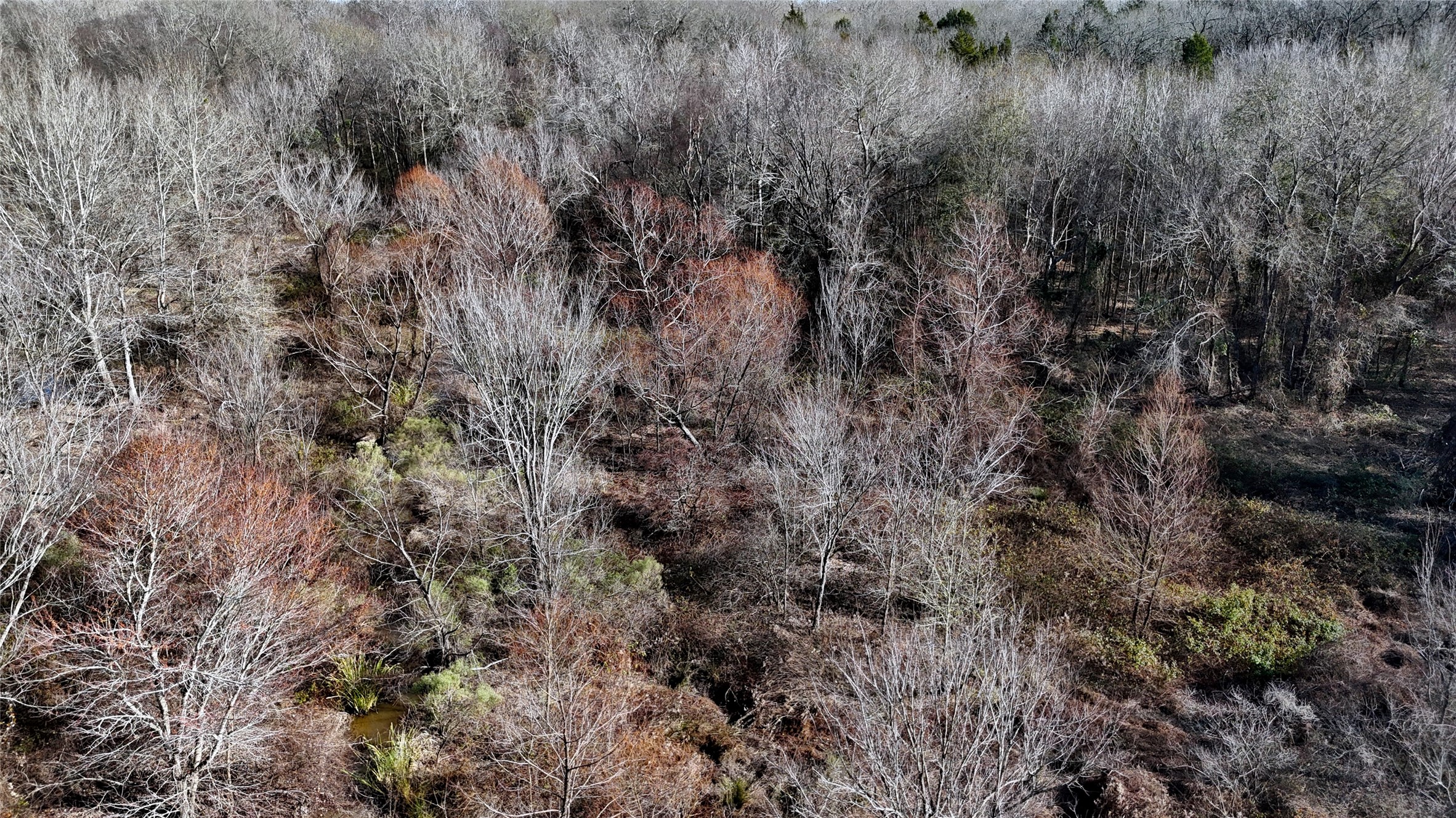 Tbd County Road 3801 Athens TX 75752