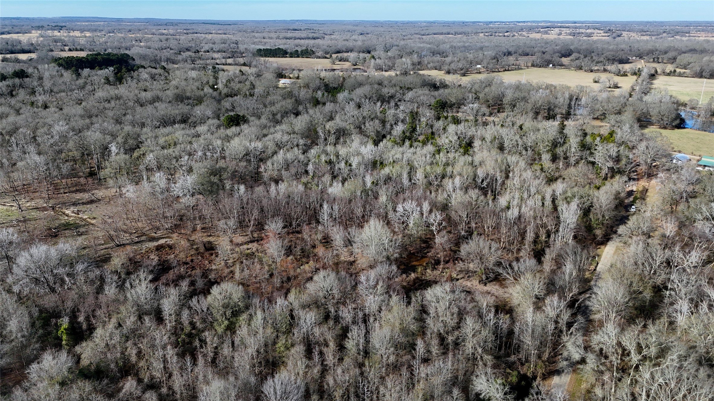 Tbd County Road 3801 Athens TX 75752