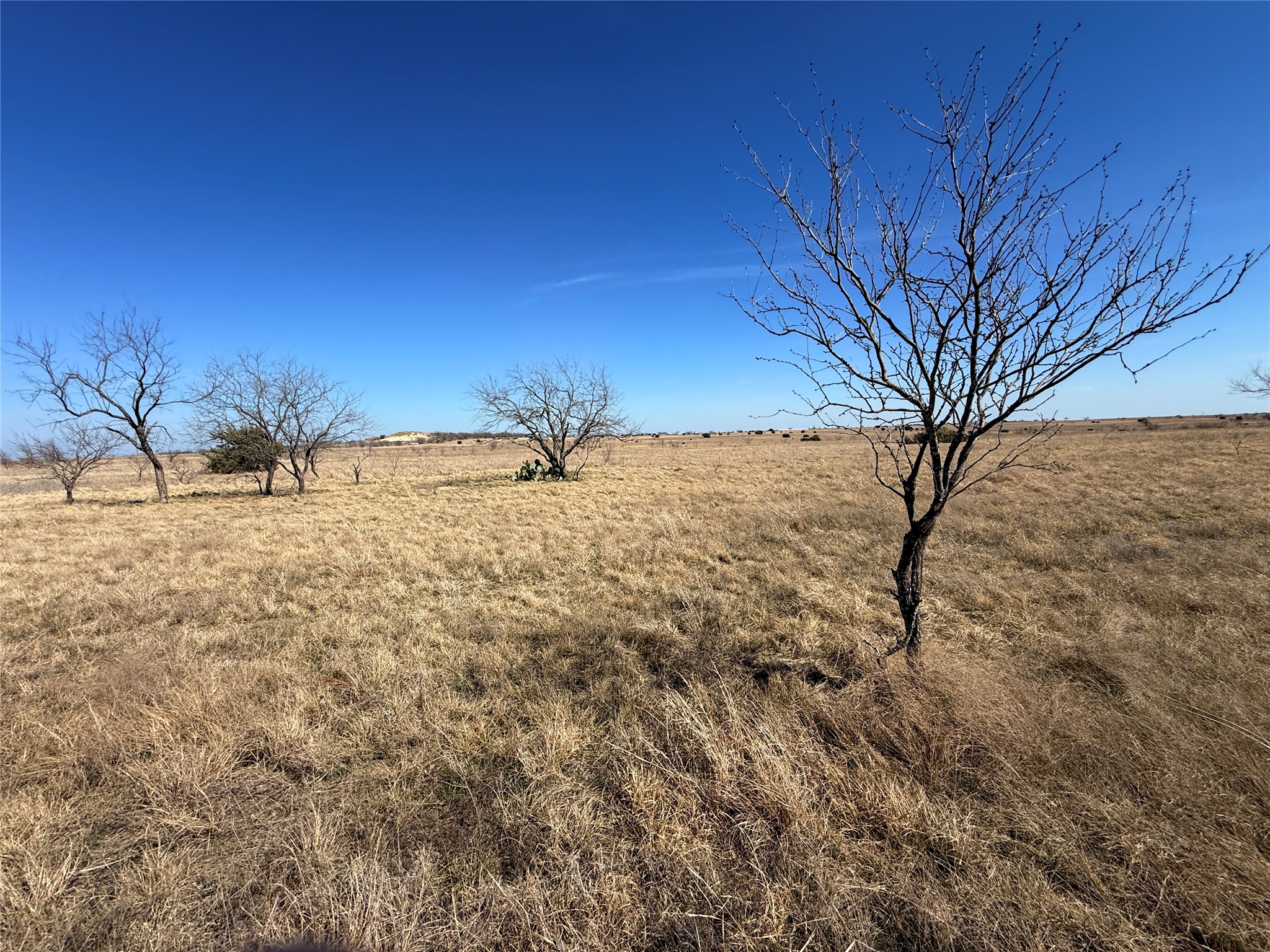 TBD2 Cr 619 Hamilton TX 76531