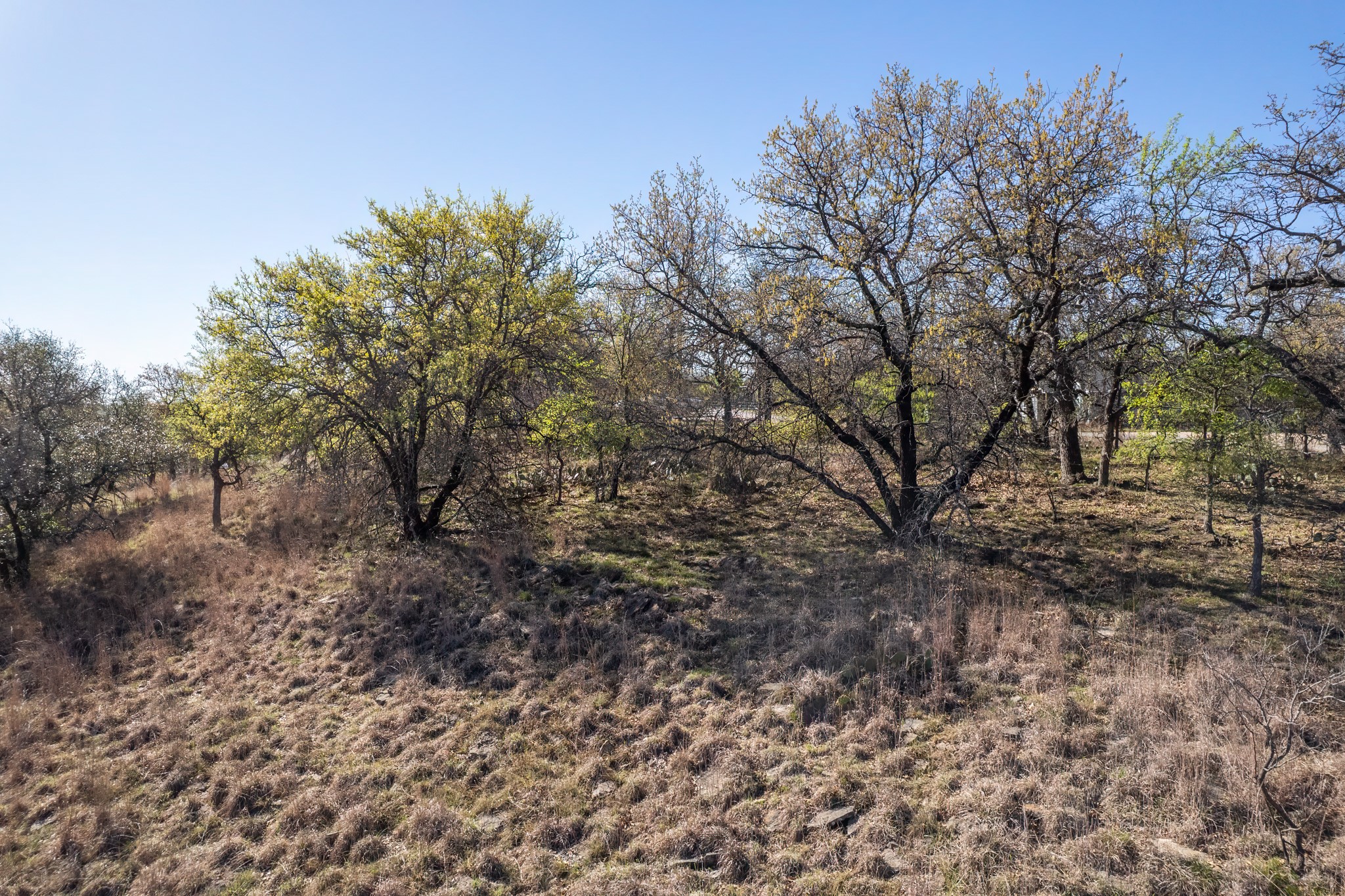 Tbd Lot 1038 Oak Point Drive May TX 76857
