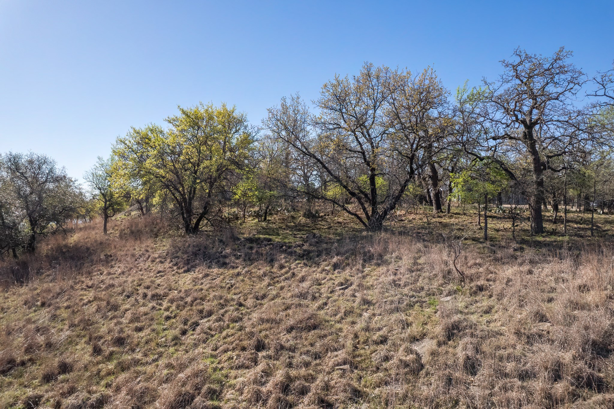 Tbd Lot 1038 Oak Point Drive May TX 76857