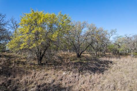 Tbd Lot 1038 Oak Point Drive May TX 76857