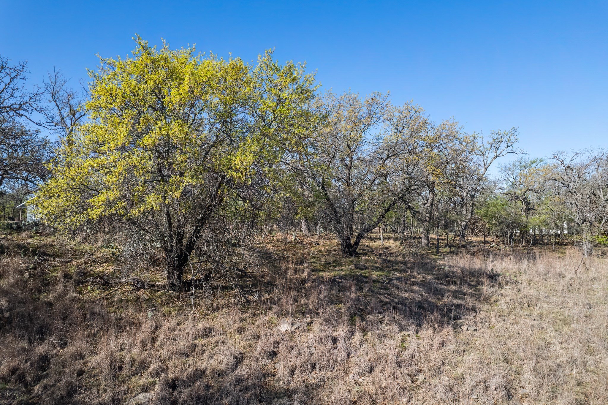 Tbd Lot 1038 Oak Point Drive May TX 76857