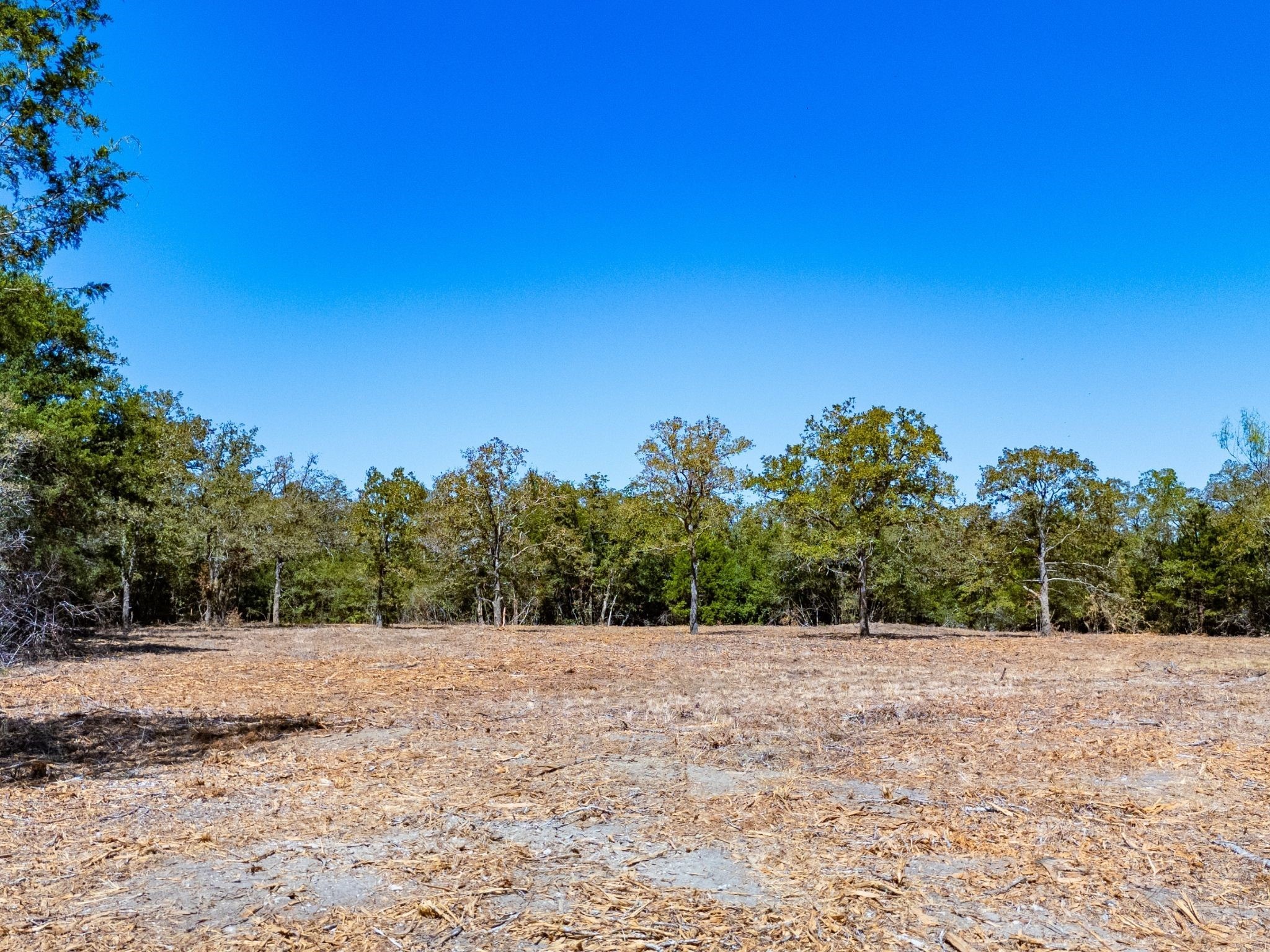 12345 Country Road 414 Somerville TX 77879