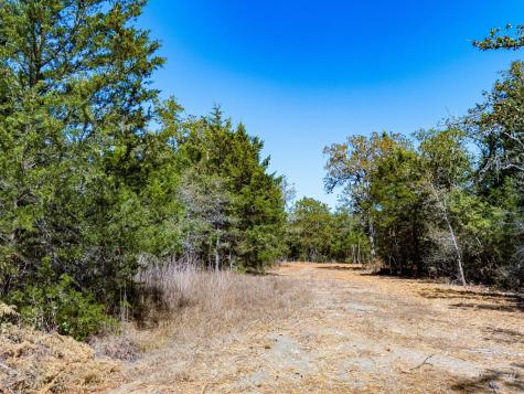 12345 Country Road 414 Somerville TX 77879