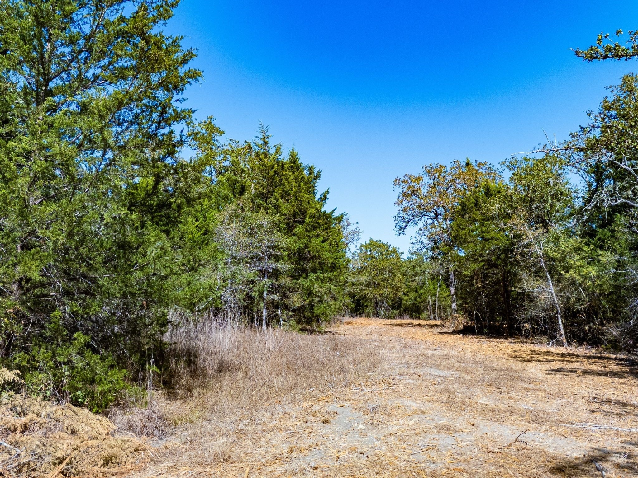 12345 Country Road 414 Somerville TX 77879
