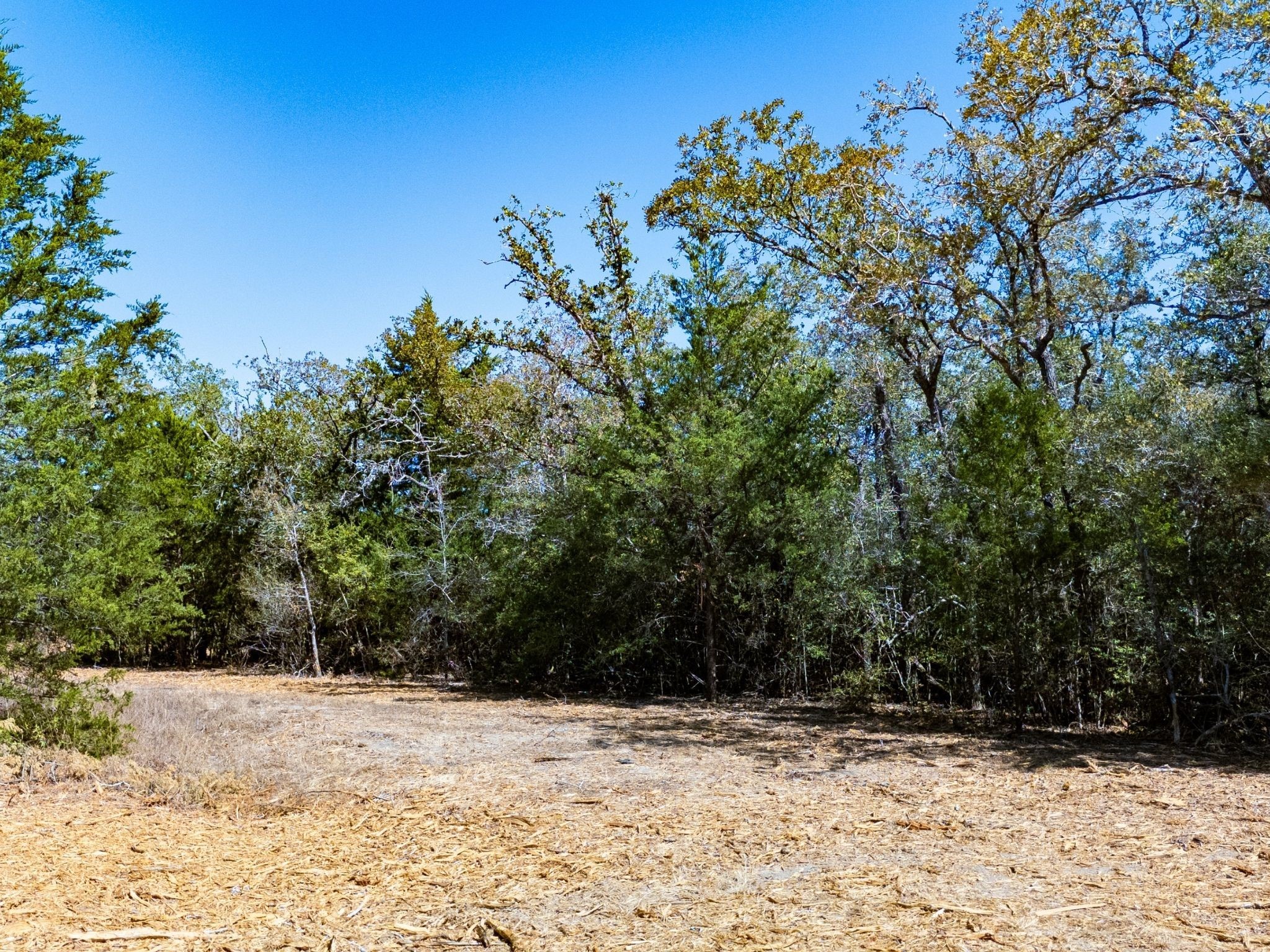 12345 Country Road 414 Somerville TX 77879