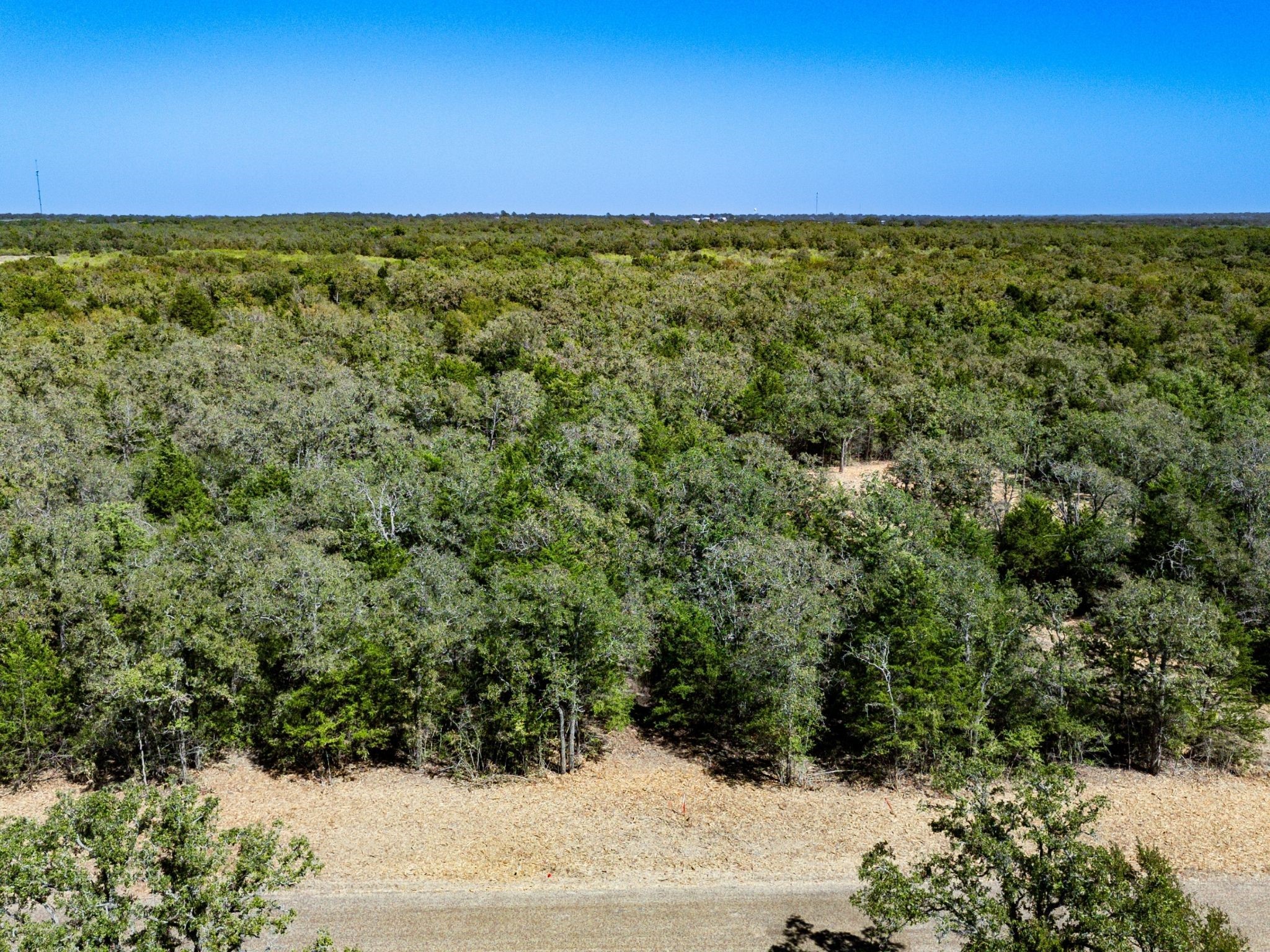 12345 Country Road 414 Somerville TX 77879