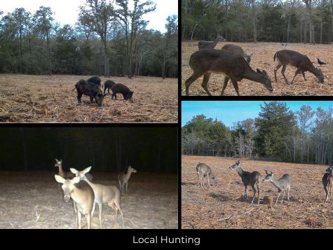 12345 Country Road 414 Somerville TX 77879