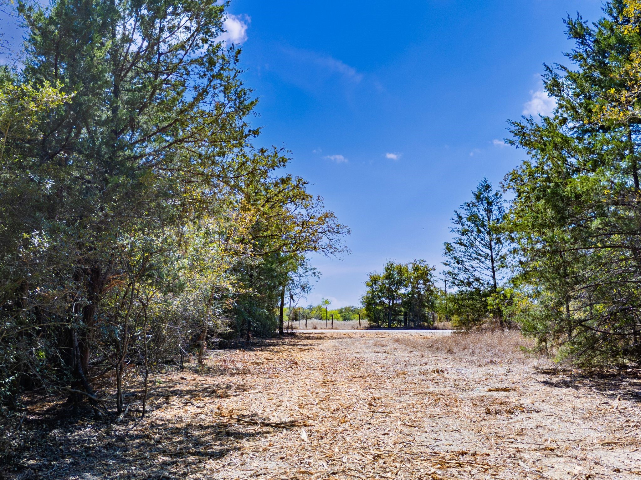 12345 Country Road 414 Somerville TX 77879