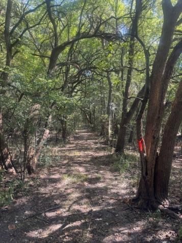 Tbd N Highway 69 Greenville TX 75401