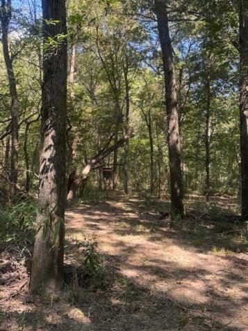 Tbd N Highway 69 Greenville TX 75401