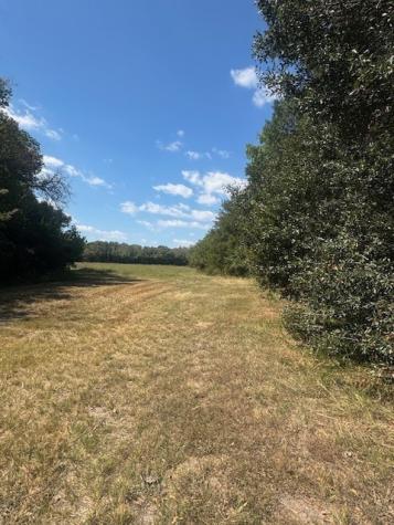 Tbd N Highway 69 Greenville TX 75401